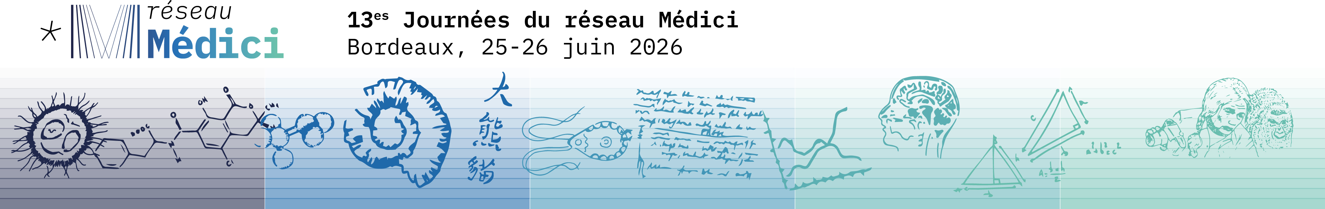 13es journées du réseau Médici>